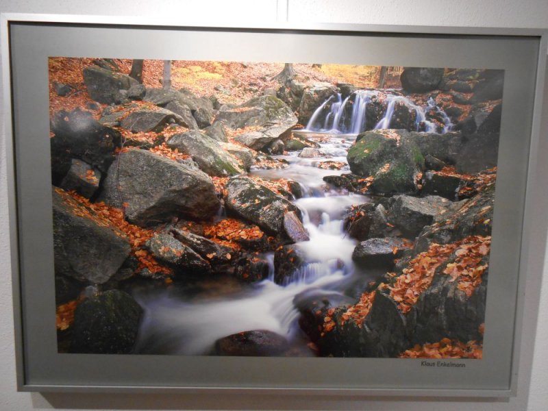 Impressionen der Galerieeröffnung